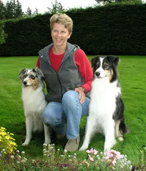 di bandit and joey for web