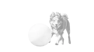 untitled design