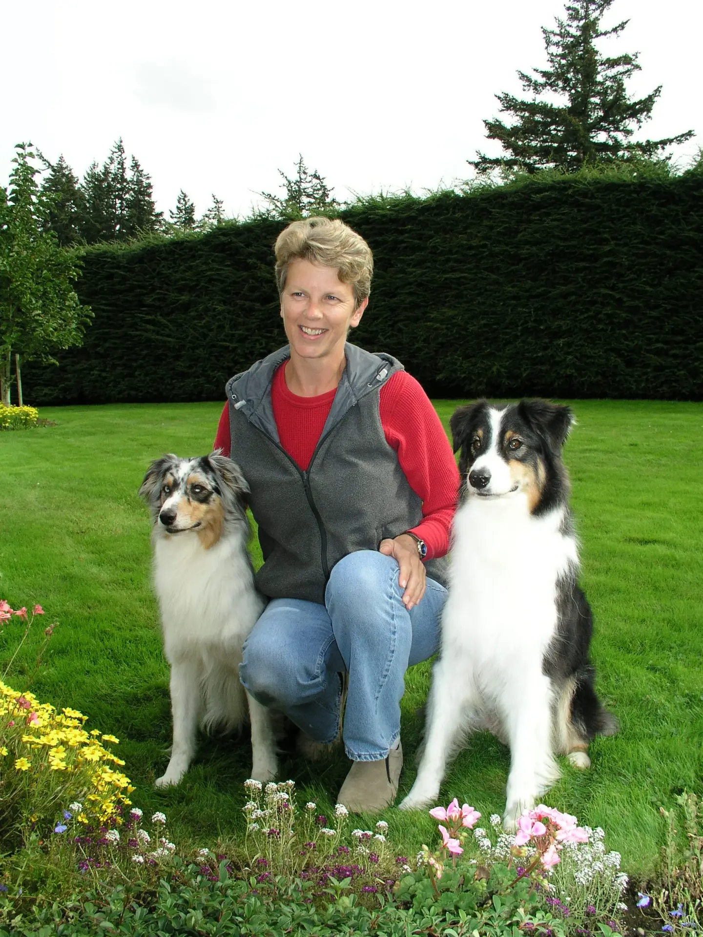 di, bandit and joey